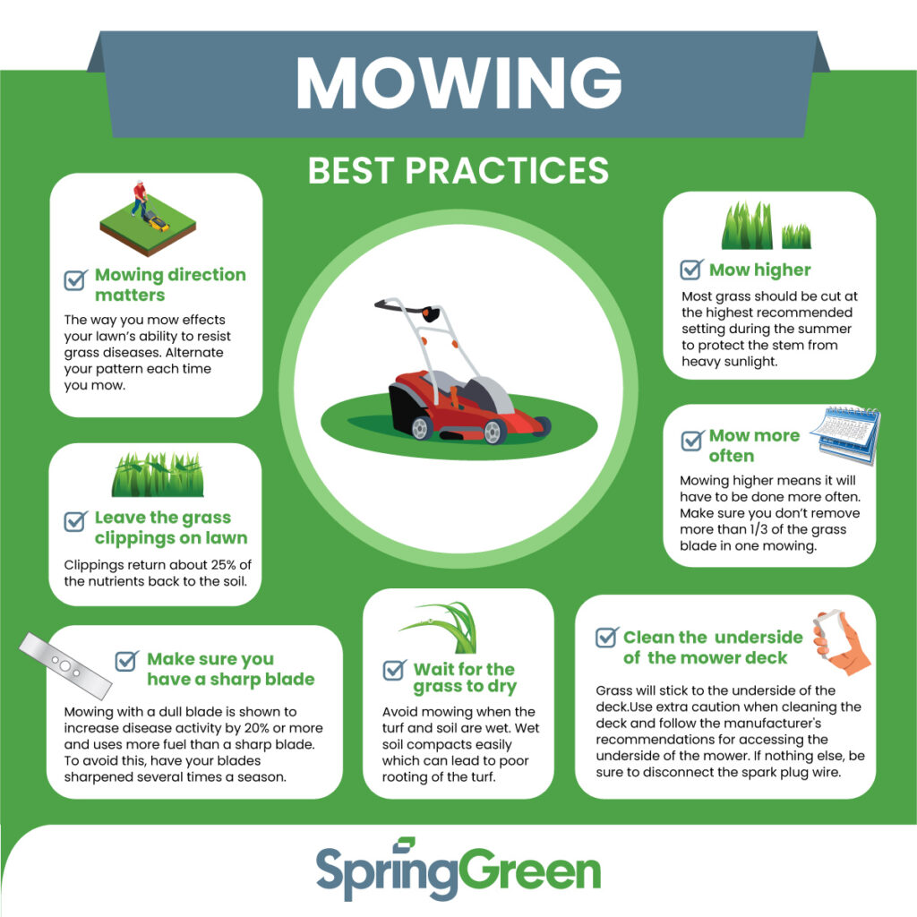 Effective Lawn Mowing Techniques for a Healthier Lawn