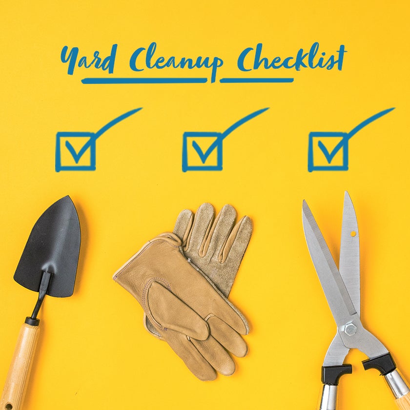 How to Simplify Yard Maintenance and Waste Cleanup